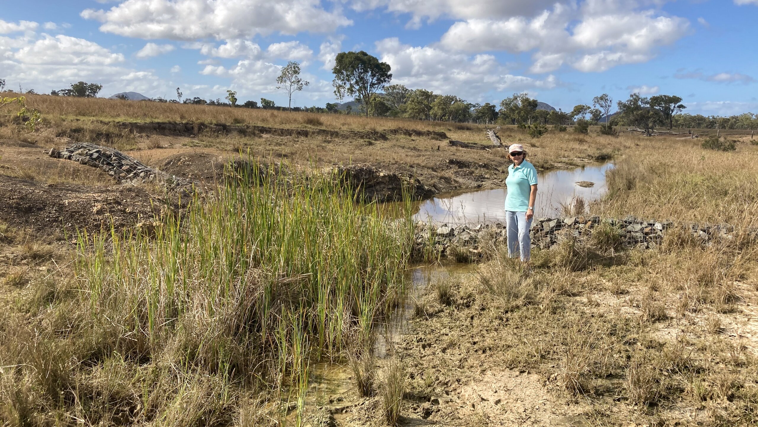 Gully after works in 2022